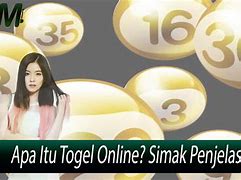 Apakah Main Togel Bisa Kaya