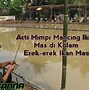 Mimpi Dapat Ikan Nila Banyak Togel